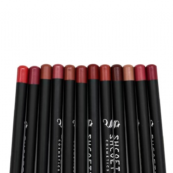 Europe and the United States cross-border 12-color matte lip pencil set nude long-lasting non-bleaching makeup wholesale
