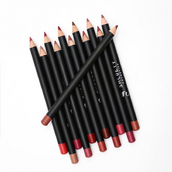 Europe and the United States cross-border 12-color matte lip pencil set nude long-lasting non-bleaching makeup wholesale